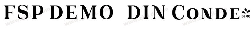 FSP DEMO   DIN Conde字体转换